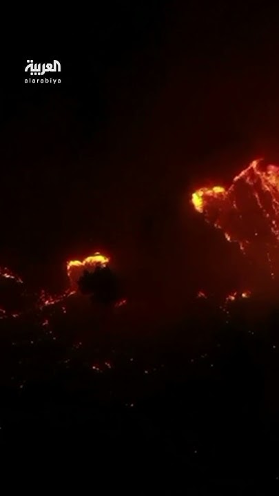        ..    --   
 - نشر قبل 7 دقيقة