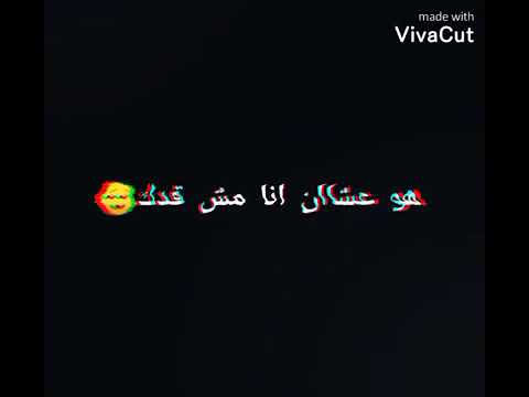 حبيبي يخربيت عقلك