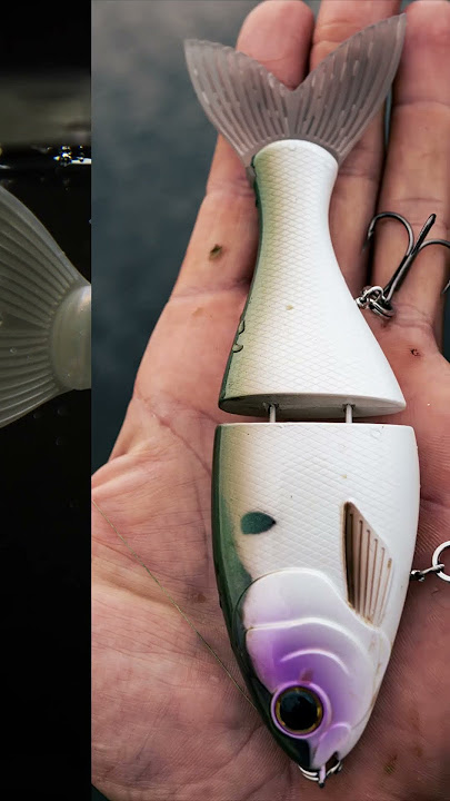 Bucca Brand 6’’ Trick Shad   #mikebucca #buccabrand #bassfishing