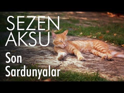 Sezen Aksu - Son Sardunyalar (Lyrics | Şarkı Sözleri)