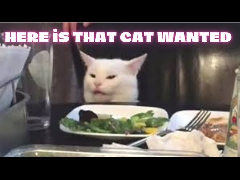 Funny Cats 😹 - Don't try to stop laughing 😸🤣 ( Funniest Cats Ever)