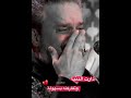 استوريات باسم الكربلائي دارت الدنيا وتفاركنه بسهوله 