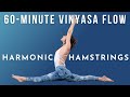 60min vinyasa flow harmonic hamstrings  meghan currie yoga 