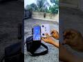Dji mini 3 drone setup 🤟 #dji #remote #shorts #shortsfeed #reels #video #viral #ytshorts