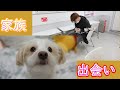 【前編】かにかまペットにしてみたwww