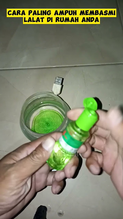 cara paling ampuh memb4smi lalat di rumah!! #idekreatif #tutorial #lifehacks