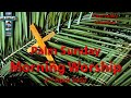 Chet Valley Morning Worship for Palm Sunday 2nd April 2023
