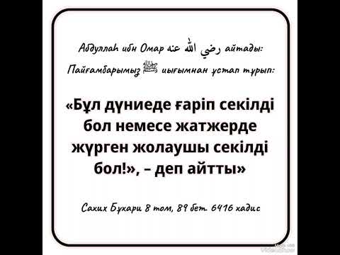 Дүниені жақсы көру.