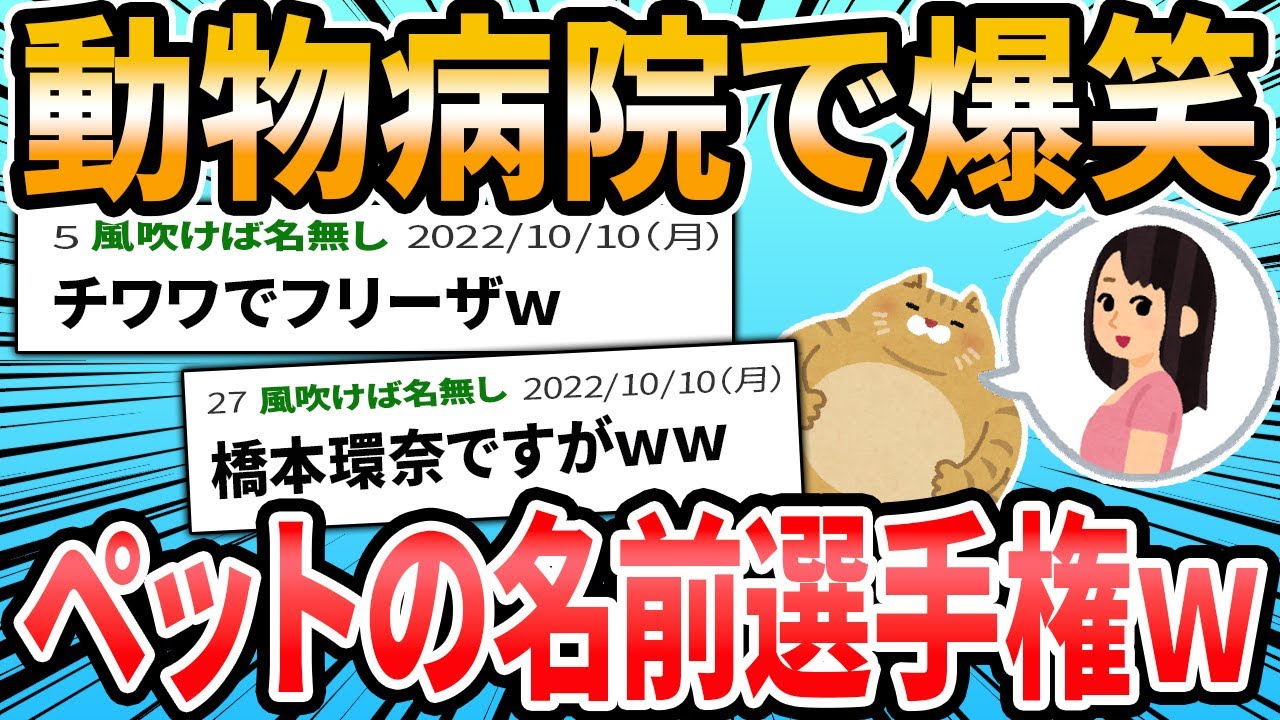【爆笑】ワイ、どうぶつ病院に行って問診票に犬の名前を書くも笑われてしまう……【2ch面白いスレ】