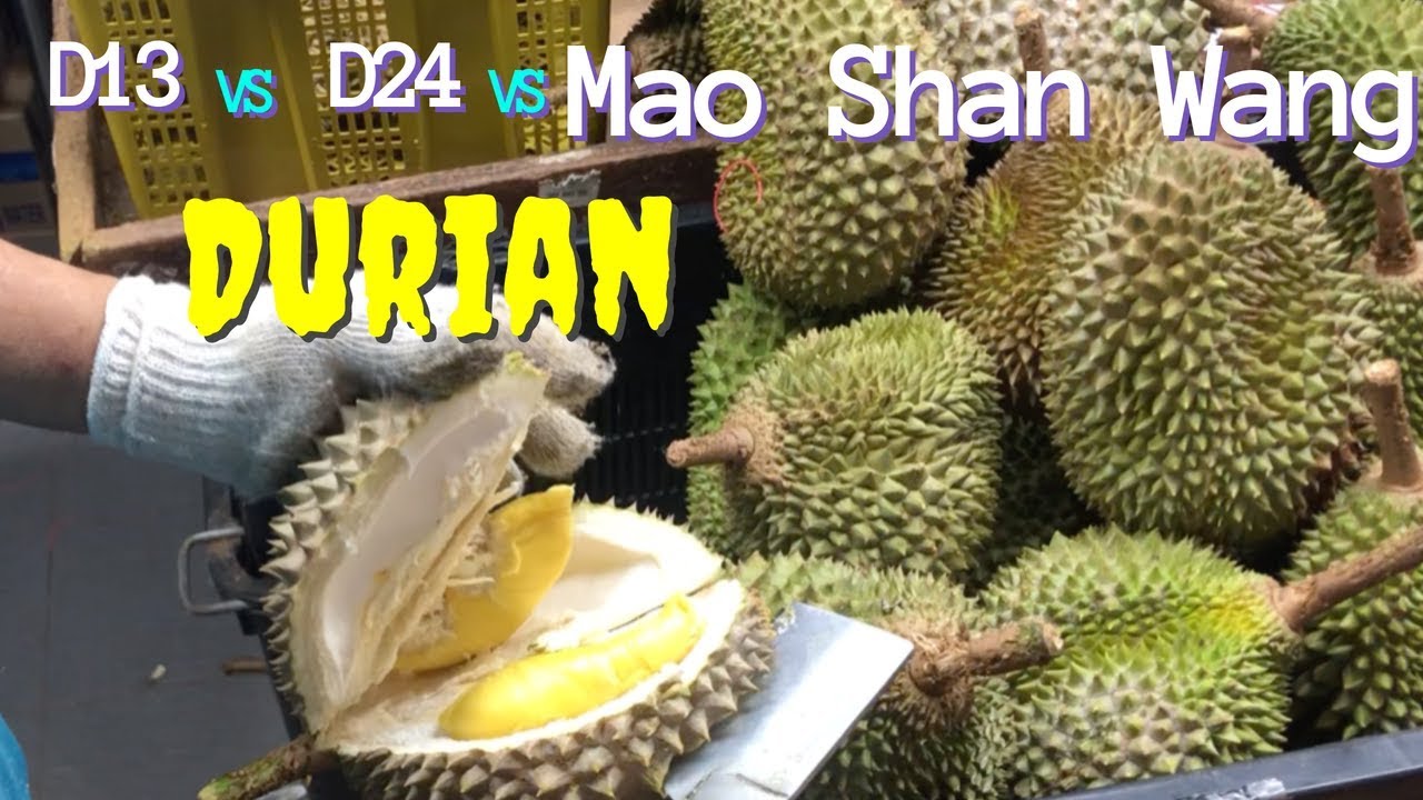 Durian d24