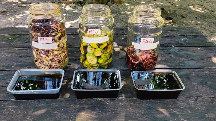 FFJ,  FPJ, FAA in Less Than 2 Minutes | Paano Mag FFJ, FPJ, at FAA