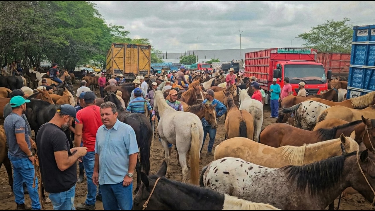 FEIRA DE CAVALOS DE CARUARU PE, TERÇA FEIRA, (03/03/26) #nordeste