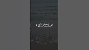 سورة الواقعة/ ياسر الدوسري #تلاوة_خاشعة #المصحف #الدين #yasseraldossary