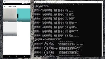 WhatsApp RCE Vulnerability Demo