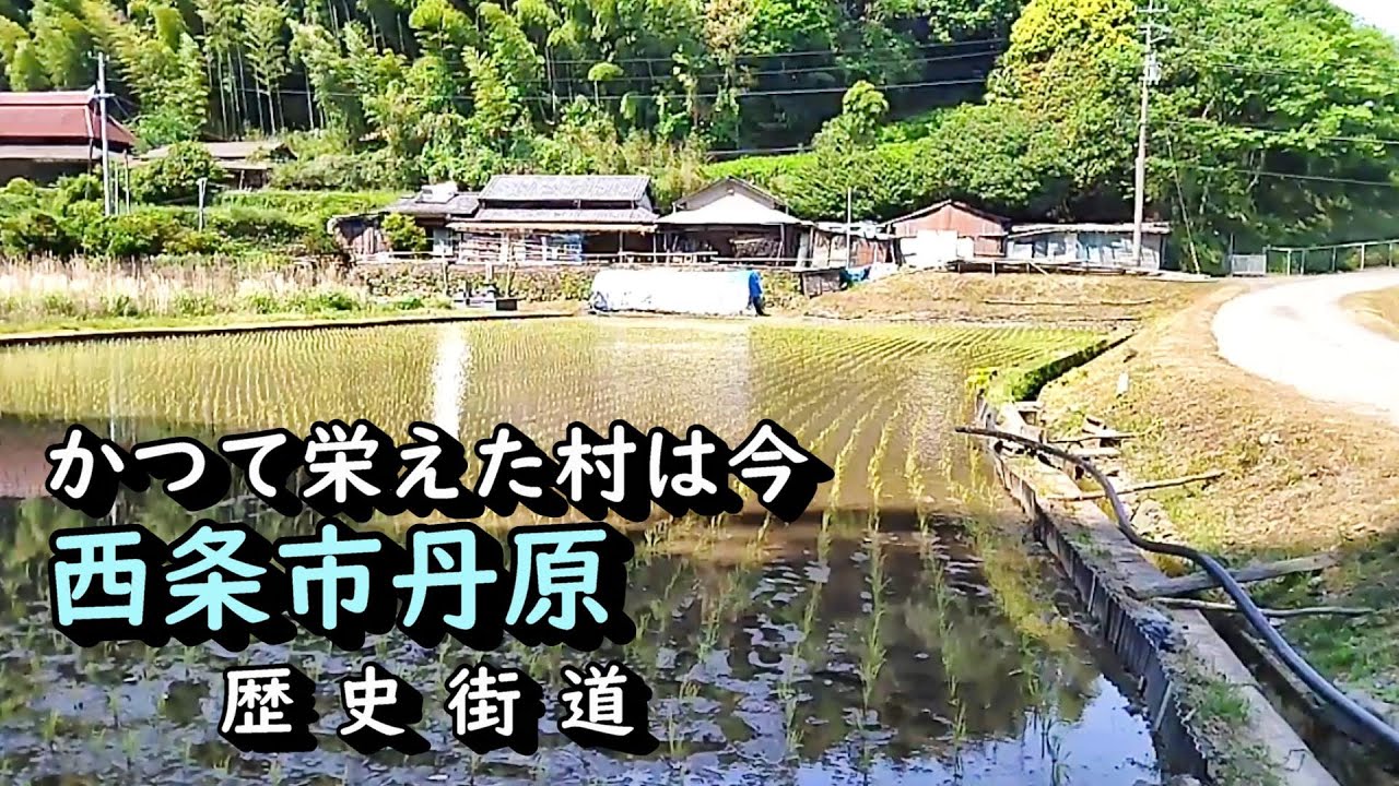 廃村と限界ムラ】かつて栄えた村は今 西条市丹原 - YouTube