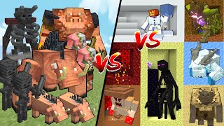 NETHER vs ALL BIOMES in Minecraft Mob Battle