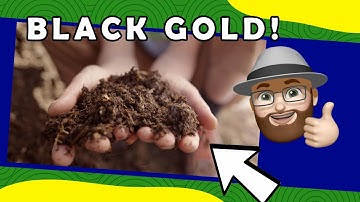 The Ultimate Guide to Composting at Home | Easy Composting Tips for Beginners