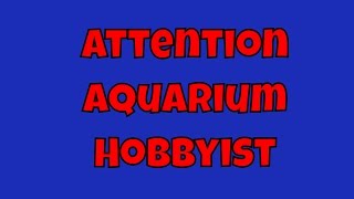 A Message To Aquarium Hobbyist
Talking about the importance of supporting each other in the hobby. The reasons why we started our Blood Parrot and Hybrid Fish group. A Message To Aquarium Hobbyist