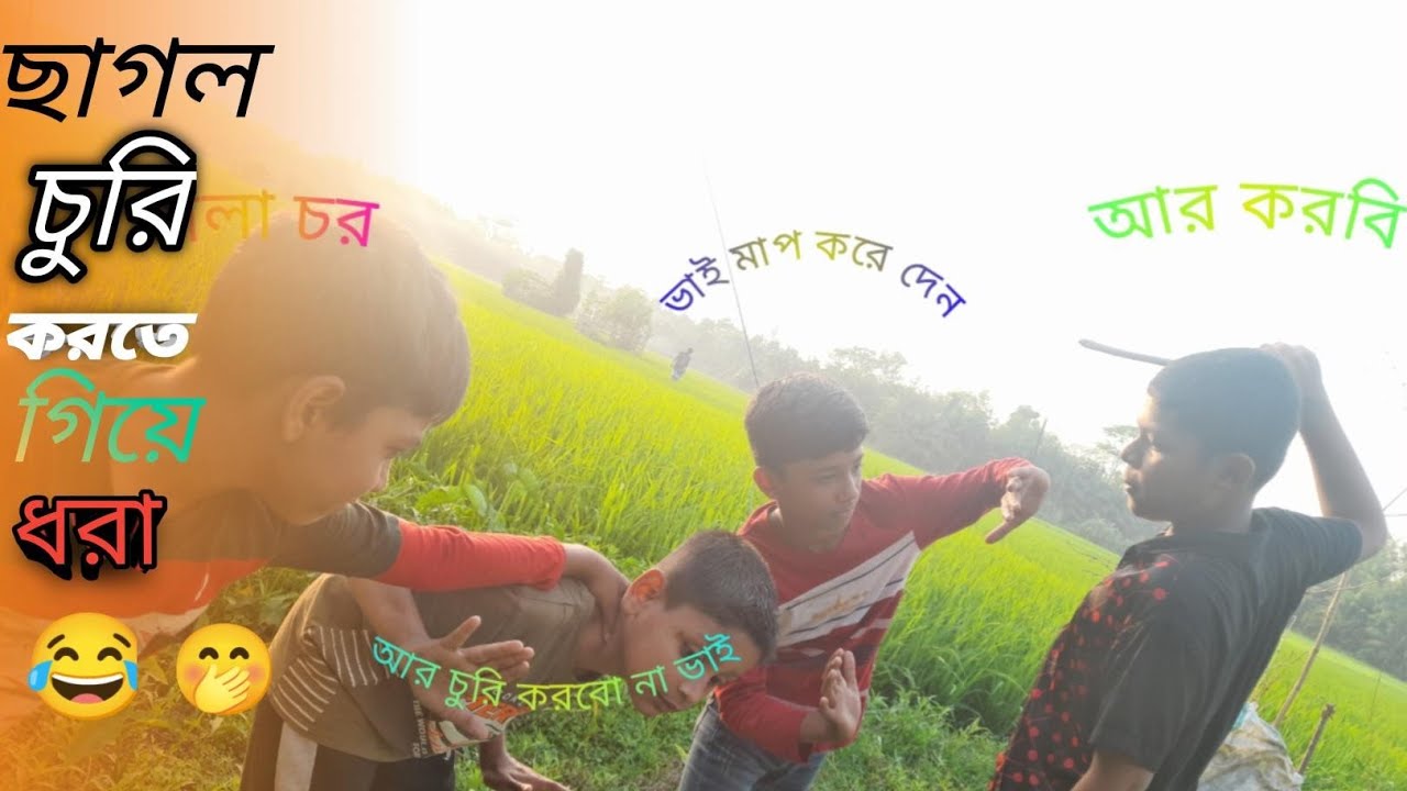 funny video ,funny video download, funny video clip, funny video script