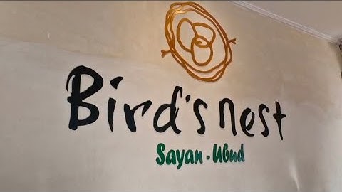 Tugas Vlog - Informatika || Mini Vlog At Bird