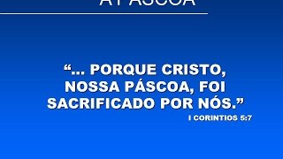 Hino S71 - Cordeiro Pascal - (Vídeo 2)