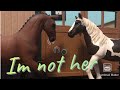 I’m not her ( Schleich Music video)