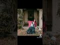 Crazy cat lady photoshoot | Shoott #crazycatlady #catmoms