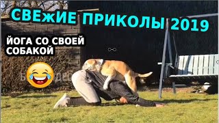 СМЕХ ДО СЛЕЗ | Gifs With Sound | ПРИКОЛЫ 2019 МАЙ #25