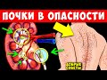 11 признаков, что ваши Почки плохо работают! Многие игнорируют эти Симптомы