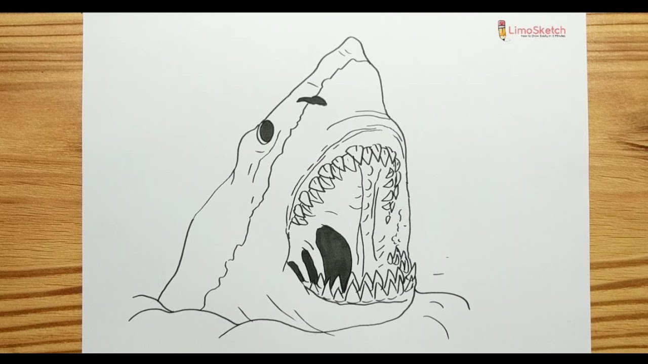 HOW TO DRAWING SHARK'S MOUTH - YouTube