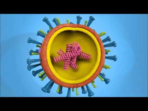 Βίντεο: Τι είναι ο ιός