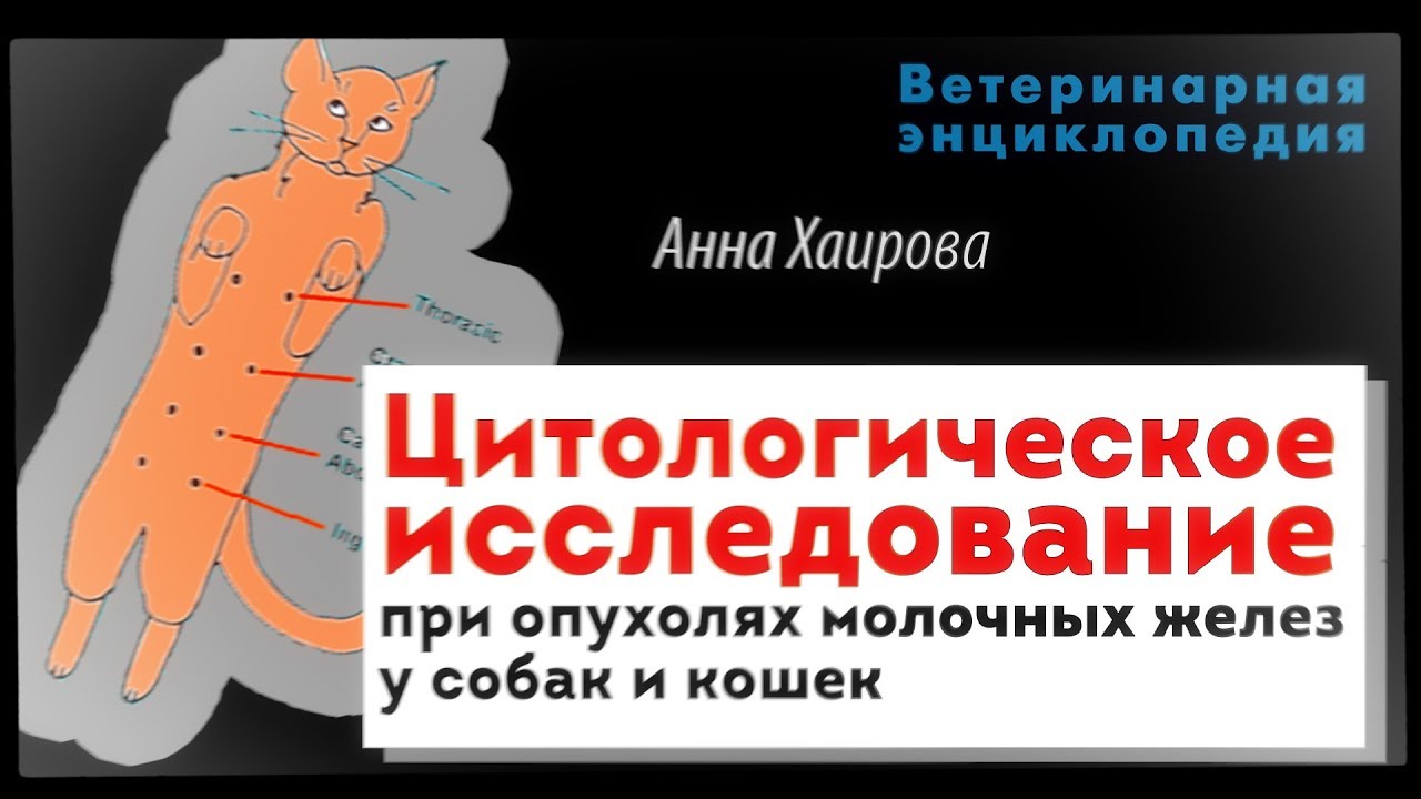 Цитологическое исследование при опухолях молочных желез