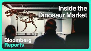 The Problem With Selling Dinosaur Bones