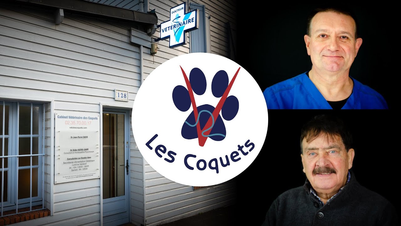 Clinique Vétérinaire Les Coquets : Présentation vidéo du cabinet