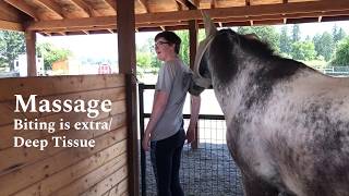 Round Up Relay - Win Massage and Barre Classes - Forward Stride