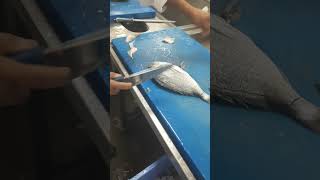 Sea Bream Fish Filleting Fish Cutting Skills Smooth Cutting Of Fish