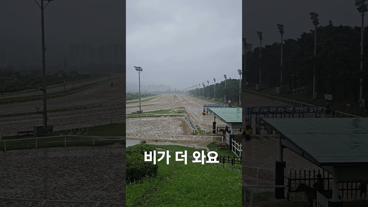 비가 더 오네요