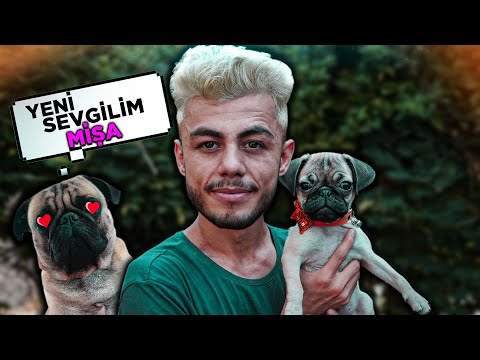 YENİ KÖPEĞİM MİŞA !! (MARAZA SEVGİLİ BULDUK)