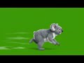 Koala Animal Running Green Screen | Animal Stampede Green Screen