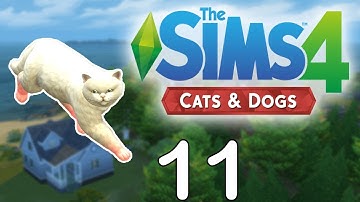 Sizzlepaw! // The Sims 4 Cats & Dogs // Part 11