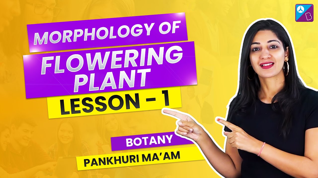 Morphology of Flowering Plants Class 11 Biology Chapter Explained (L1)| NEET 2023 Biology