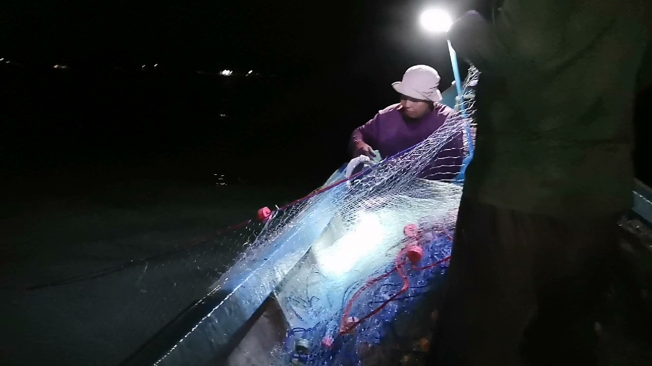 ออกอวนหาปลา​ อ่าวท่าศาลา​ นครศรีธรรมราช