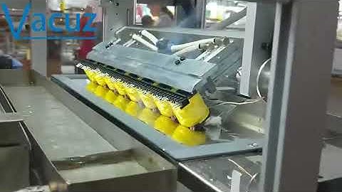 Vacuz Automatic Transformer Bobbin Coil Tin Soldering Welding Machine Supply Price