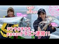 【釣り時季】みっぴ＆ミキティのテンヤタチウオ豊後水道のドラゴン連発‼︎