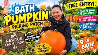 FREE Pumpkin Patch in Bath! 🎃 Pumpkins From Just £2 | Newton Farm 2026