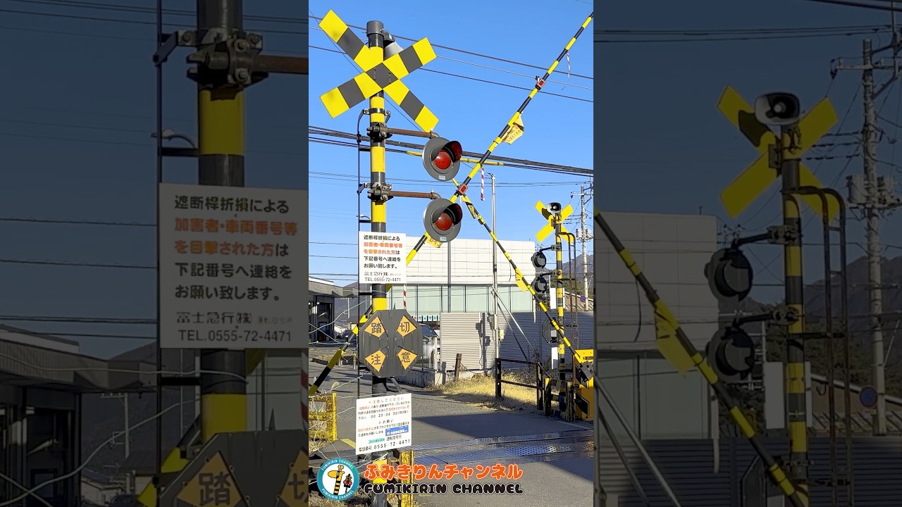 踏切 電車】なにが通るかな？？？【ふみきりショート動画222】 #shorts