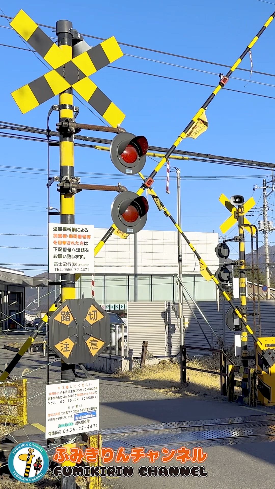 踏切 電車】なにが通るかな？？？【ふみきりショート動画222】 #shorts