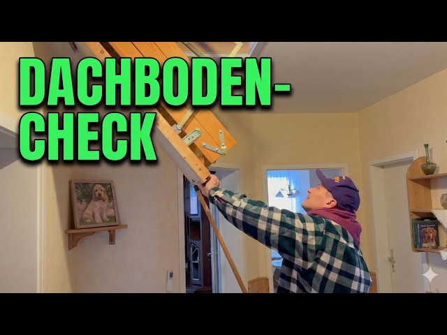 Haus Entrümpelung!! Alle erwarten Schätze – doch DAS haben wir wirklich gefunden…