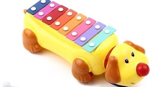 Children's toys - Xylophone, drum, accordion, guitar, synthesizer