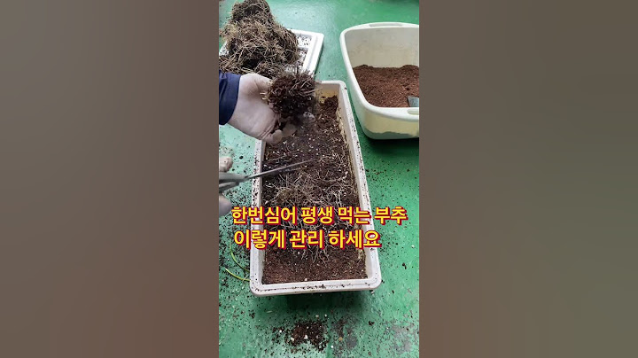 한번심어 평생먹는 부추 이렇게 관리 하세요#shorts